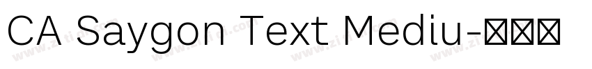 CA Saygon Text Mediu字体转换